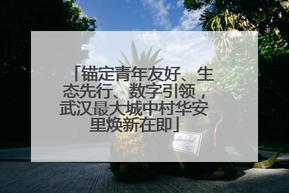 锚定青年友好、生态先行、数字引领，武汉最大城中村华安里焕新在即