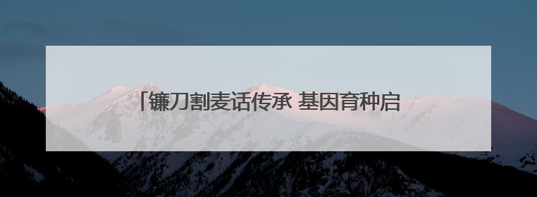 镰刀割麦话传承 基因育种启新程——第十届杨凌小麦文化节见证“颗粒归仓”时空跨越