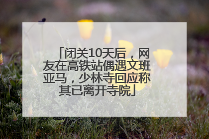 闭关10天后，网友在高铁站偶遇文班亚马，少林寺回应称其已离开寺院