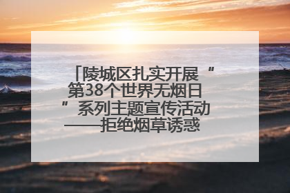 陵城区扎实开展“第38个世界无烟日”系列主题宣传活动——拒绝烟草诱惑 对第一支烟说不