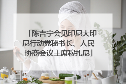 陈吉宁会见印尼大印尼行动党秘书长、人民协商会议主席穆扎尼