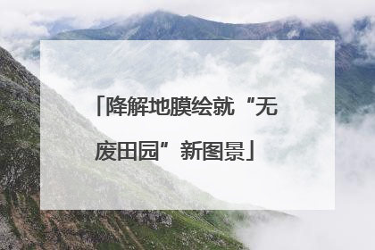 降解地膜绘就“无废田园”新图景