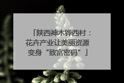 陕西神木铧西村：花卉产业让美丽资源变身“致富密码”