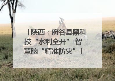 陕西：府谷县黑科技“水利全开” 智慧脑“精准防灾”