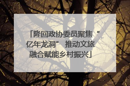 隆回政协委员聚焦“亿年龙洞” 推动文旅融合赋能乡村振兴