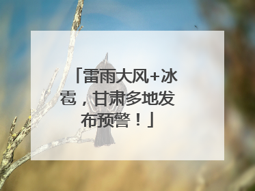 雷雨大风+冰雹，甘肃多地发布预警！