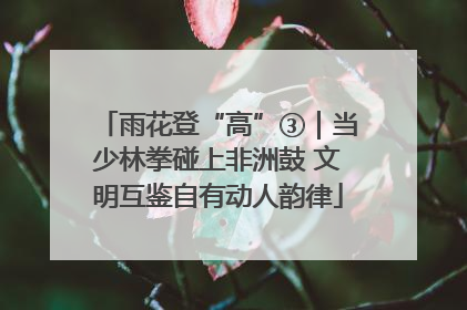 雨花登“高”③｜当少林拳碰上非洲鼓 文明互鉴自有动人韵律
