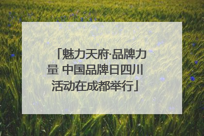 魅力天府·品牌力量 中国品牌日四川活动在成都举行