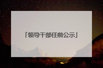 领导干部任前公示