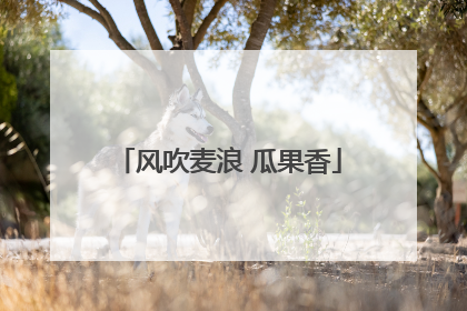风吹麦浪 瓜果香