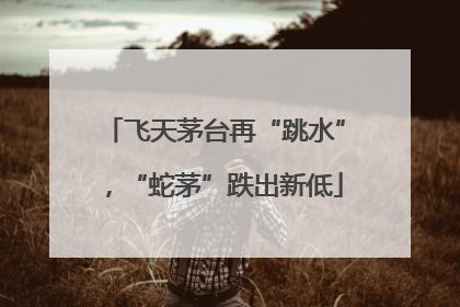飞天茅台再“跳水”，“蛇茅”跌出新低