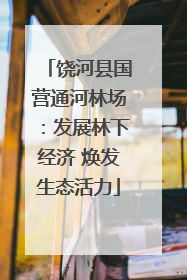 饶河县国营通河林场：发展林下经济 焕发生态活力