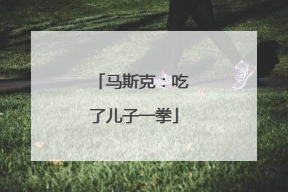 马斯克：吃了儿子一拳