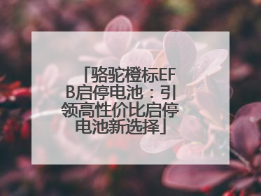 骆驼橙标EFB启停电池：引领高性价比启停电池新选择
