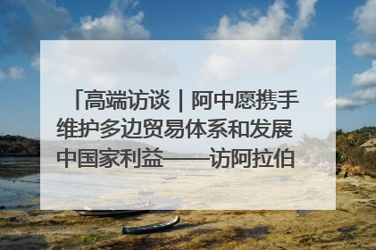 高端访谈｜阿中愿携手维护多边贸易体系和发展中国家利益——访阿拉伯议会议长亚马希