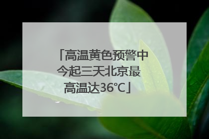高温黄色预警中 今起三天北京最高温达36℃