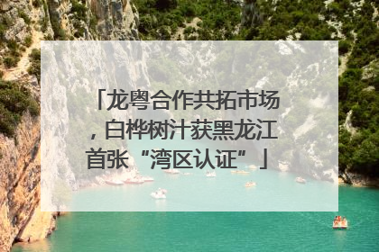 龙粤合作共拓市场，白桦树汁获黑龙江首张“湾区认证”
