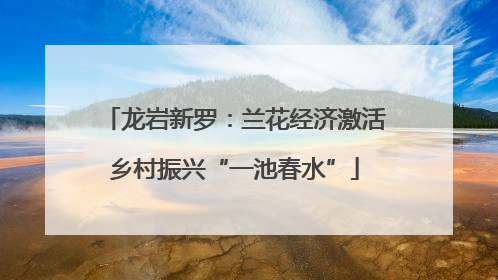 龙岩新罗：兰花经济激活乡村振兴“一池春水”