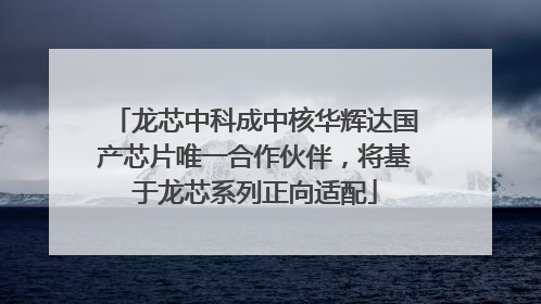 龙芯中科成中核华辉达国产芯片唯一合作伙伴，将基于龙芯系列正向适配