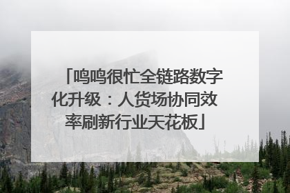 鸣鸣很忙全链路数字化升级：人货场协同效率刷新行业天花板