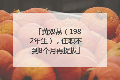 黄双燕（1982年生），任职不到8个月再提拔
