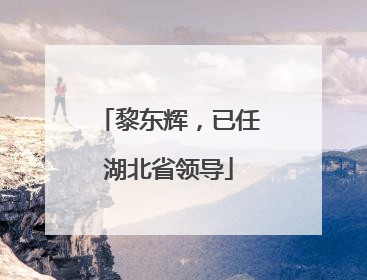 黎东辉，已任湖北省领导