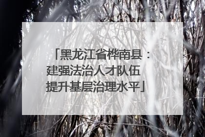 黑龙江省桦南县：建强法治人才队伍 提升基层治理水平
