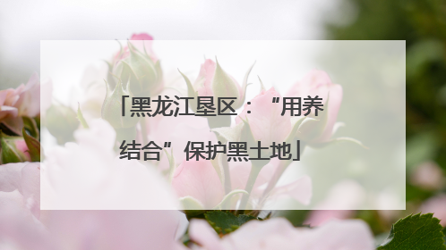 黑龙江垦区：“用养结合”保护黑土地