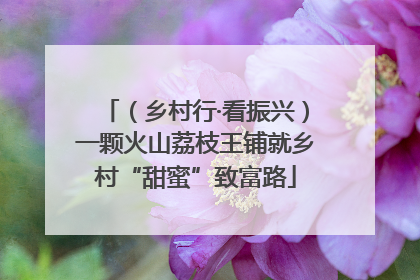（乡村行·看振兴）一颗火山荔枝王铺就乡村“甜蜜”致富路