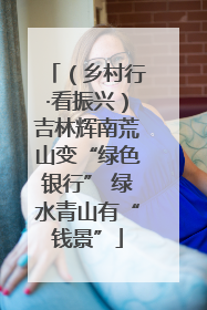 （乡村行·看振兴）吉林辉南荒山变“绿色银行” 绿水青山有“钱景”
