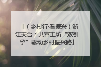 （乡村行·看振兴）浙江天台：共富工坊“双引擎”驱动乡村振兴路