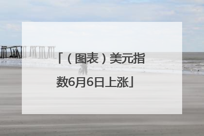 （图表）美元指数6月6日上涨