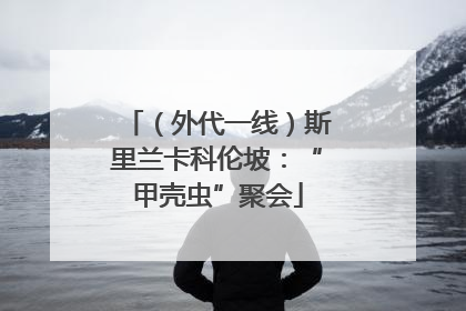（外代一线）斯里兰卡科伦坡：“甲壳虫”聚会
