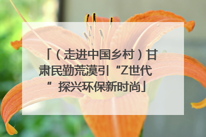 （走进中国乡村）甘肃民勤荒漠引“Z世代”探兴环保新时尚