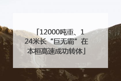 12000吨重、124米长“巨无霸”在本桓高速成功转体