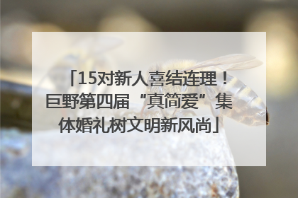 15对新人喜结连理！巨野第四届“真简爱”集体婚礼树文明新风尚