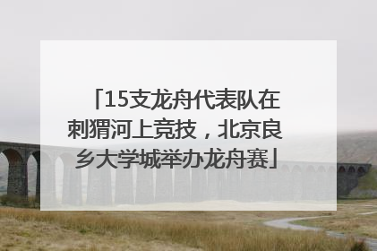 15支龙舟代表队在刺猬河上竞技，北京良乡大学城举办龙舟赛
