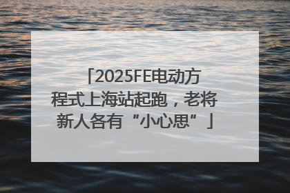 2025FE电动方程式上海站起跑，老将新人各有“小心思”