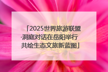 2025世界旅游联盟·洞庭对话在岳阳举行 共绘生态文旅新蓝图
