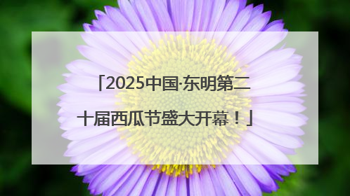 2025中国·东明第二十届西瓜节盛大开幕！