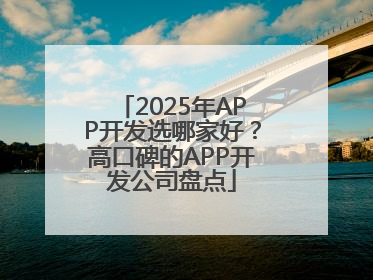 2025年APP开发选哪家好？高口碑的APP开发公司盘点