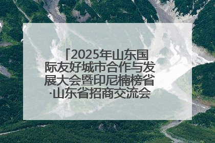 2025年山东国际友好城市合作与发展大会暨印尼楠榜省·山东省招商交流会在济南槐荫举行