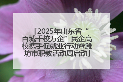 2025年山东省“百城千校万企”民企高校携手促就业行动暨潍坊市职教活动周启动