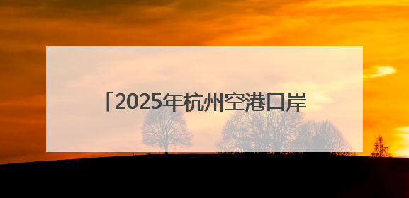 2025年杭州空港口岸国际货运量已突破10万吨 较去年同期提前一周