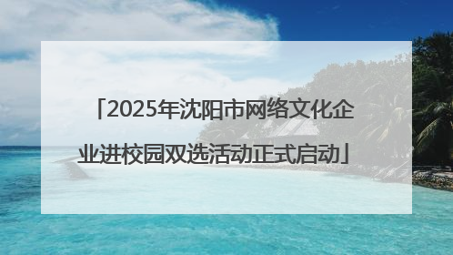 2025年沈阳市网络文化企业进校园双选活动正式启动