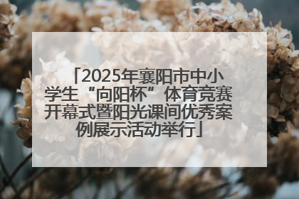 2025年襄阳市中小学生“向阳杯”体育竞赛开幕式暨阳光课间优秀案例展示活动举行