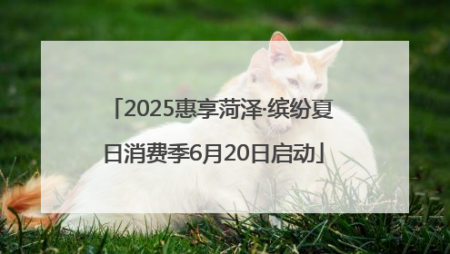 2025惠享菏泽·缤纷夏日消费季6月20日启动