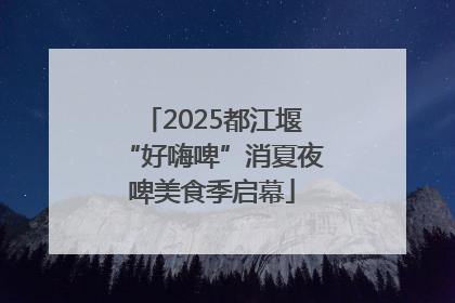 2025都江堰“好嗨啤”消夏夜啤美食季启幕