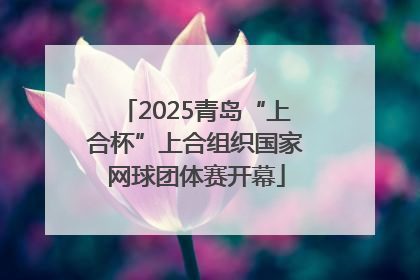 2025青岛“上合杯”上合组织国家网球团体赛开幕