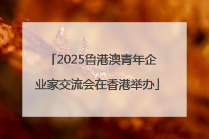 2025鲁港澳青年企业家交流会在香港举办